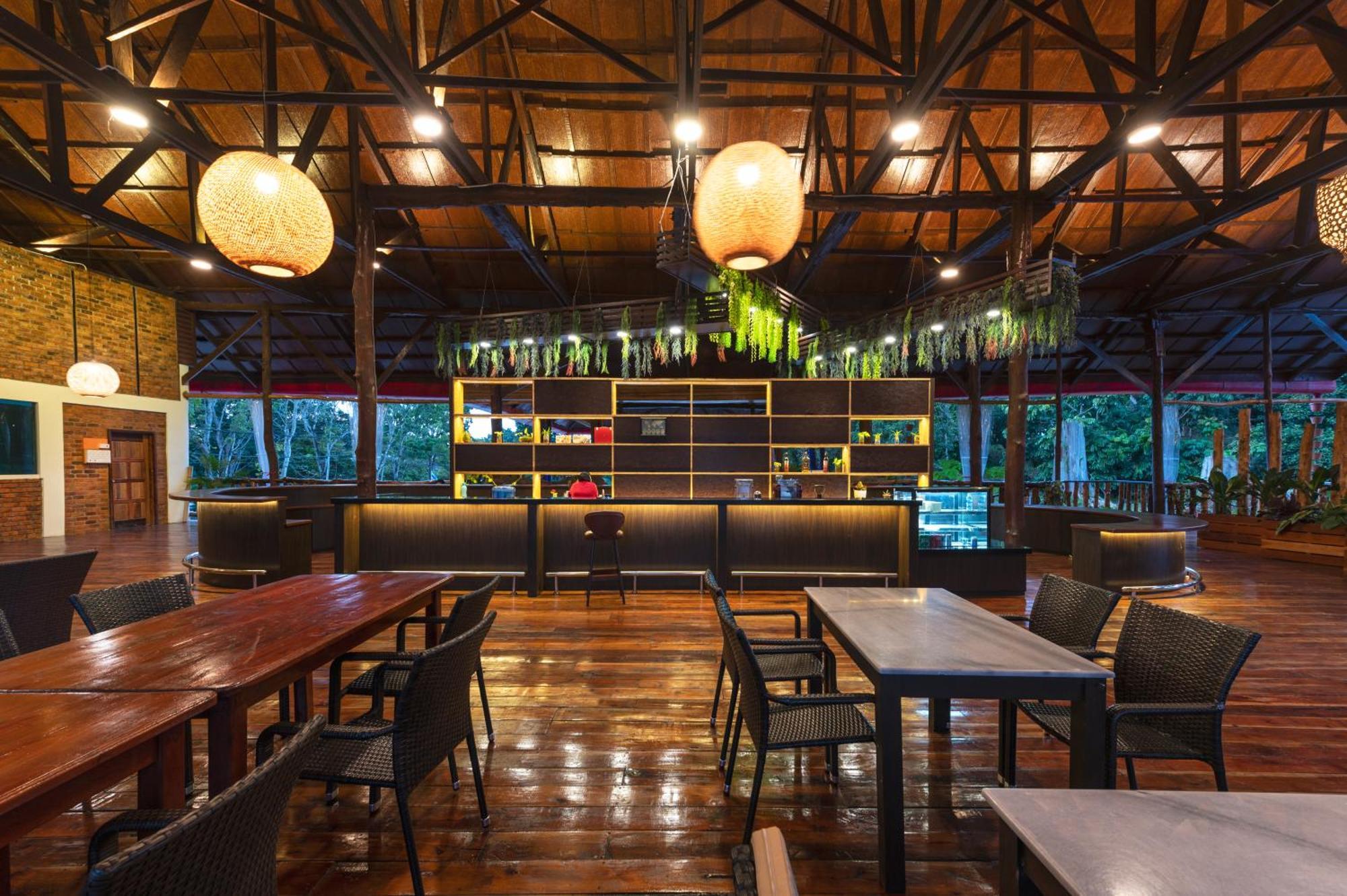 Borneo Rainforest Sepilok